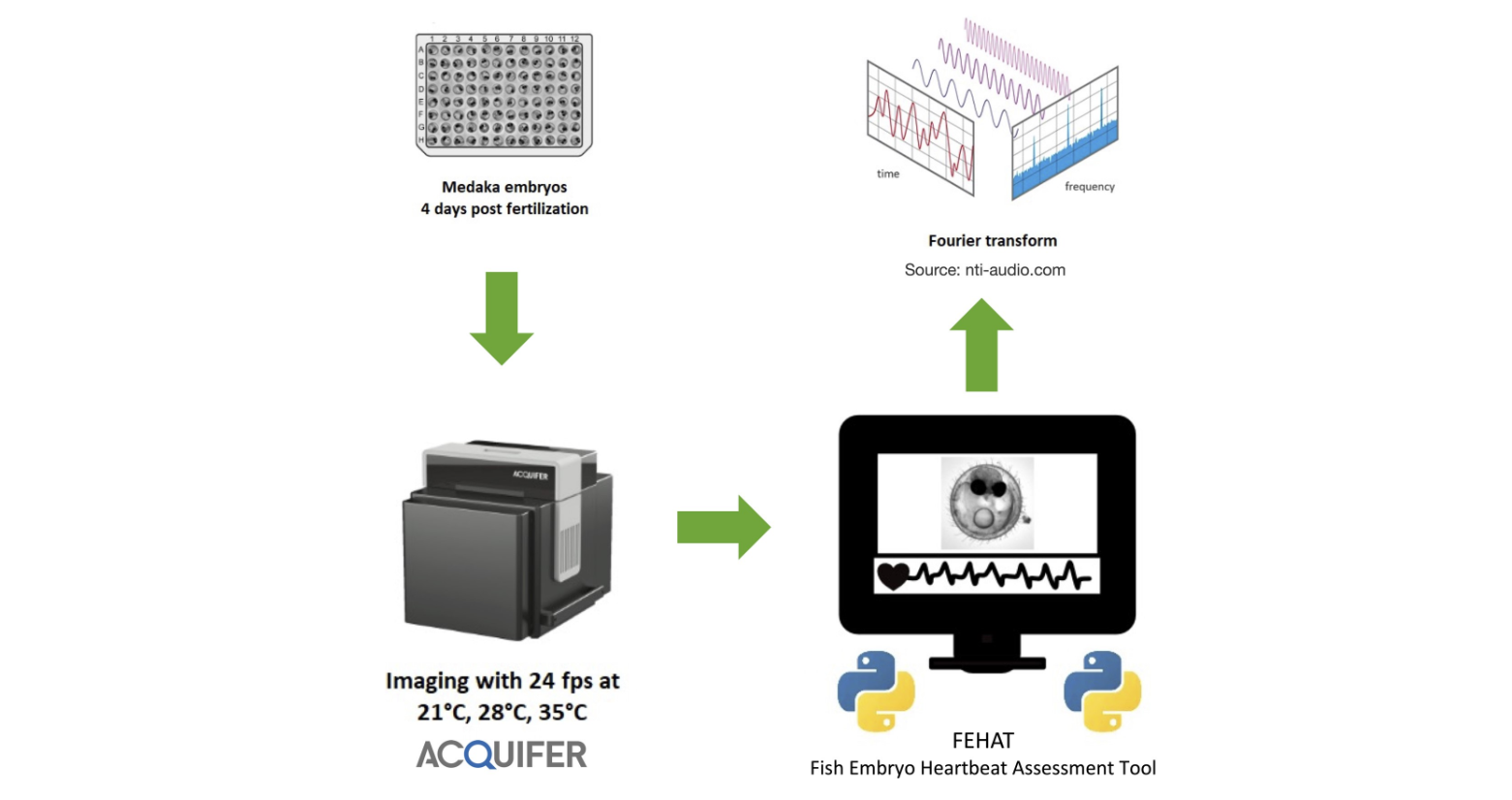 Artigo Bioinformatics